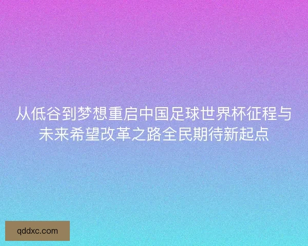从低谷到梦想重启中国足球世界杯征程与未来希望改革之路全民期待新起点